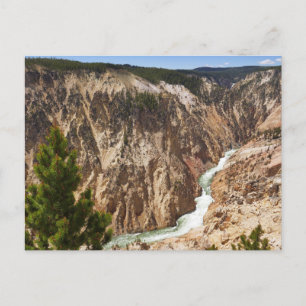 Carte Postale Grand Canyon de Yellowstone