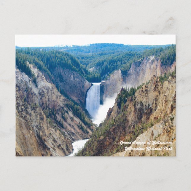 Carte Postale Grand Canyon de Yellowstone (Devant)