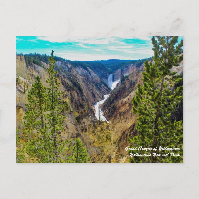 Carte Postale Grand Canyon de Yellowstone (Devant)