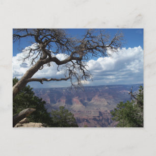 Carte Postale Grand Canyon La Pochette Peint Desert Arizona Post