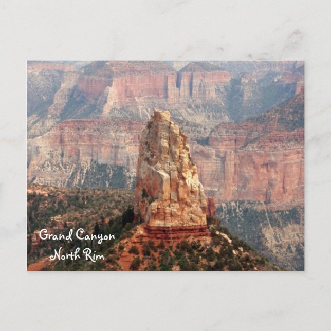Carte postale Grand Canyon North Rim (Devant)
