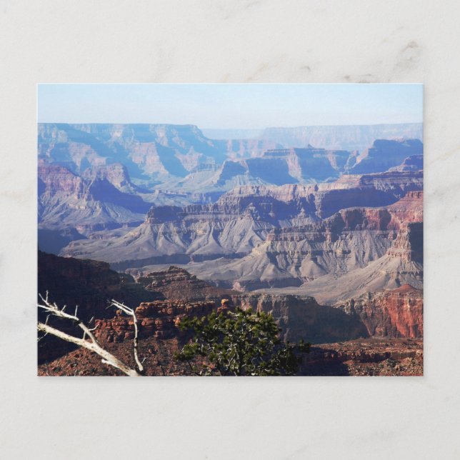 Carte Postale Grand Canyon - Rim Sud (Devant)