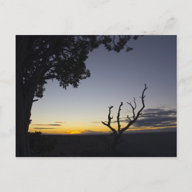 Carte postale Grand Canyon Sunset 3 (Devant)