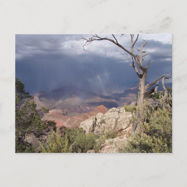 Carte postale "Grand Canyon Views" (Devant)