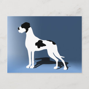 Carte Postale Grand Danois piebalde