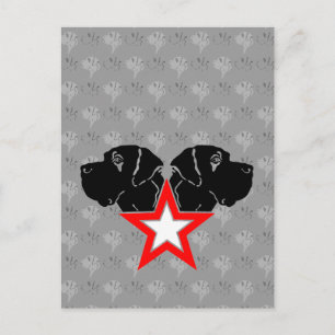 Carte Postale Grand Danois Star Head