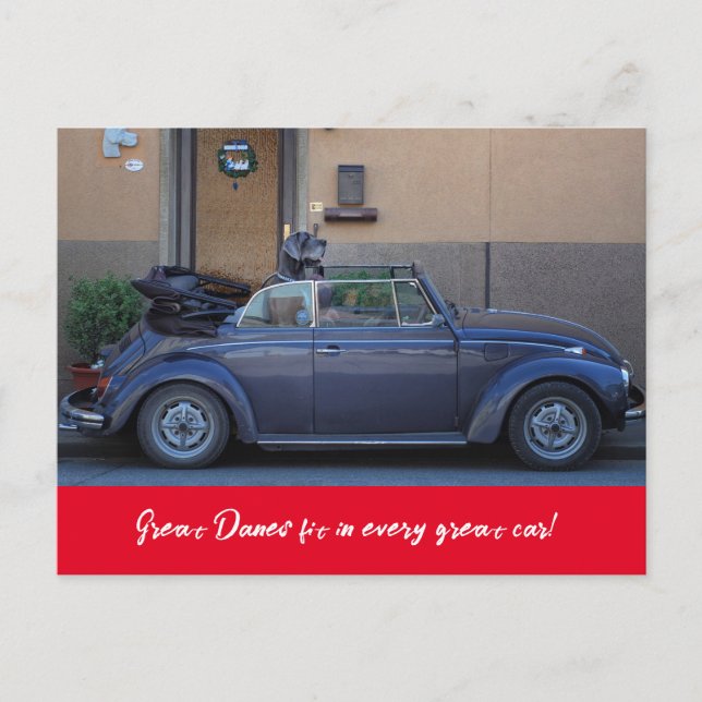 Carte Postale Grand Danois tient dans une Coccinelle (Devant)