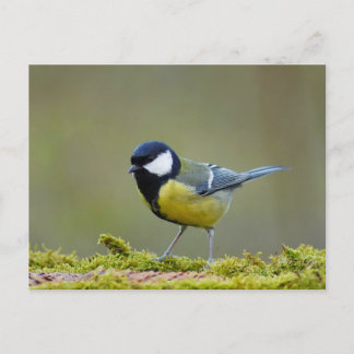 Carte Postale Grand méchant