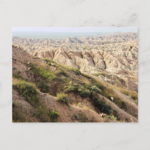 Carte Postale Grand mouton de la Corne au parc national Badlands