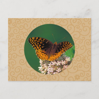 Carte Postale Grand Papillon Fritillaire Spangé