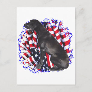 Carte Postale Grand Patriote Dane