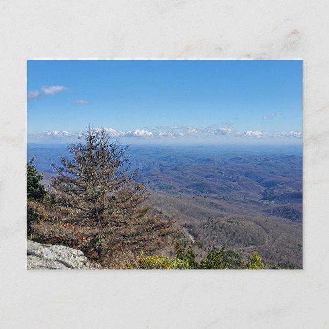 Carte Postale Grand-père Mountain State Park NC Entrée Road (Devant)
