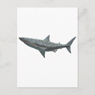 Carte Postale Grand requin blanc