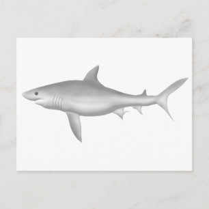 Carte Postale Grand requin blanc