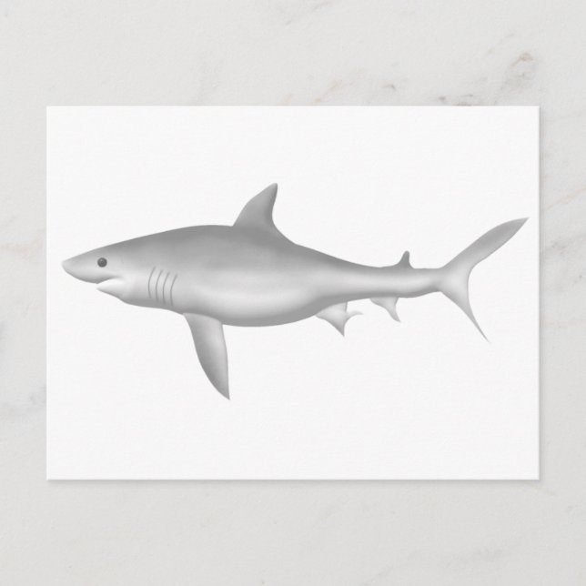 Carte Postale Grand requin blanc (Devant)