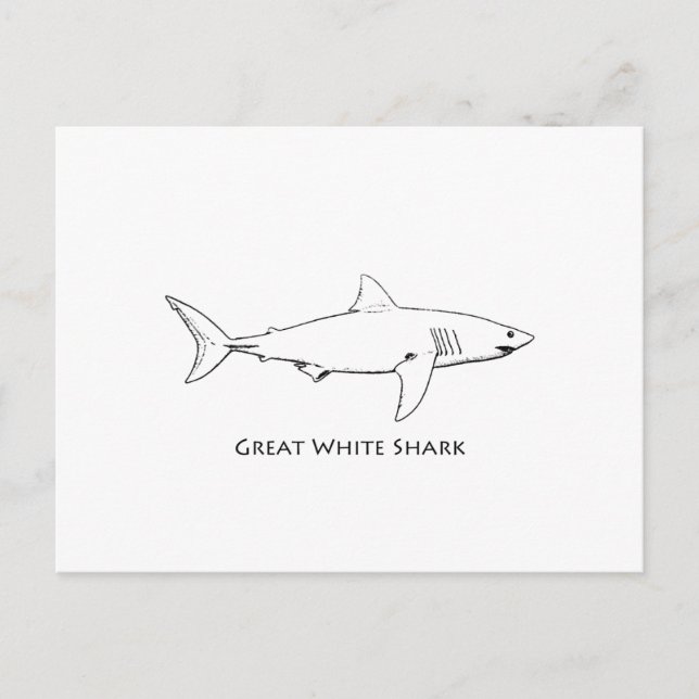 Carte Postale Grand requin blanc (art en ligne) (Devant)