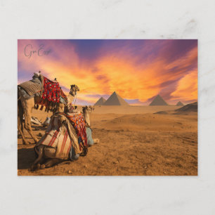 Carte Postale Grand sphinx de giza Egypte vintage Histoire nid