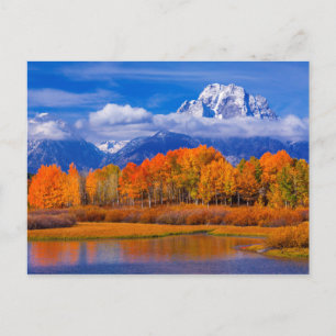 Carte Postale Grand Teton National Park   Wyoming