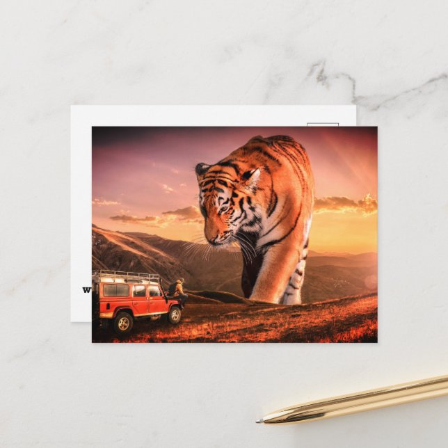 Carte Postale Grand tigre (Devant/Arrière en situation)