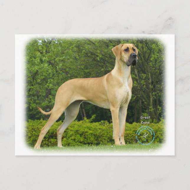 Carte Postale Grande Danse 9T088D-027 (Devant)