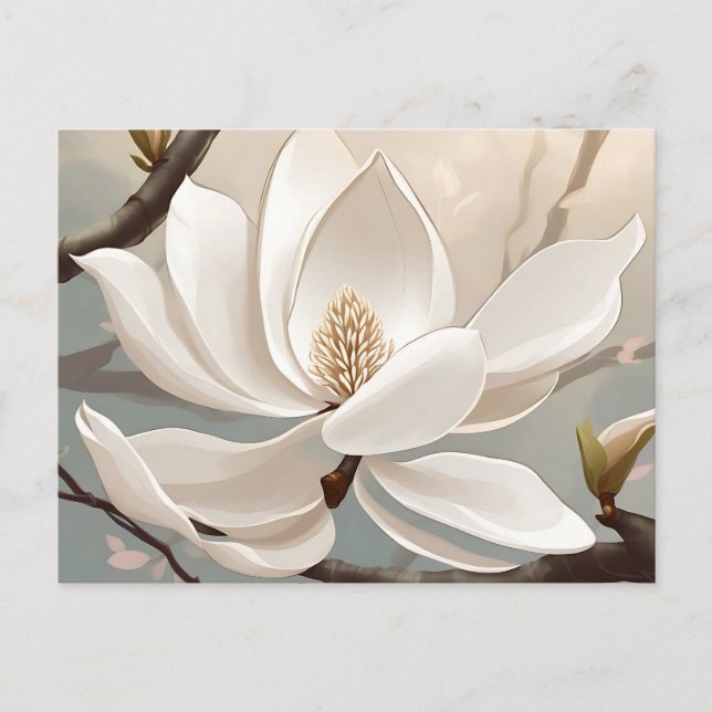 Carte Postale Grande Fleur blanche de Magnolia (Devant)