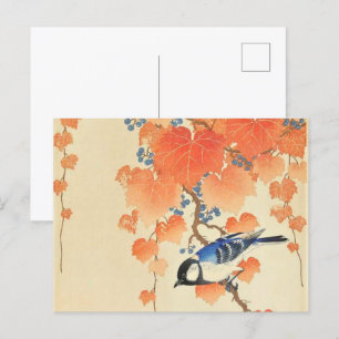 Carte Postale Grande mésange sur la branche paulownia - Ohara Ko