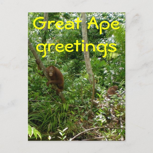 Carte Postale Grands amis Ape (Devant)