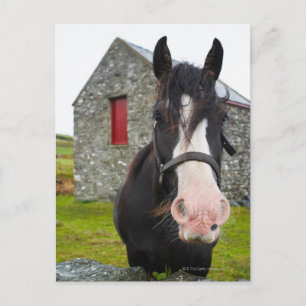Carte Postale Grange à cheval et en pierre dans l'Angleterre rur