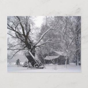 Carte Postale Grange Ancienne & Chêne dans une photo de neige hi