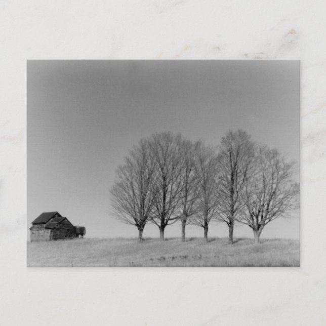 Carte postale Grange et arbres (Devant)