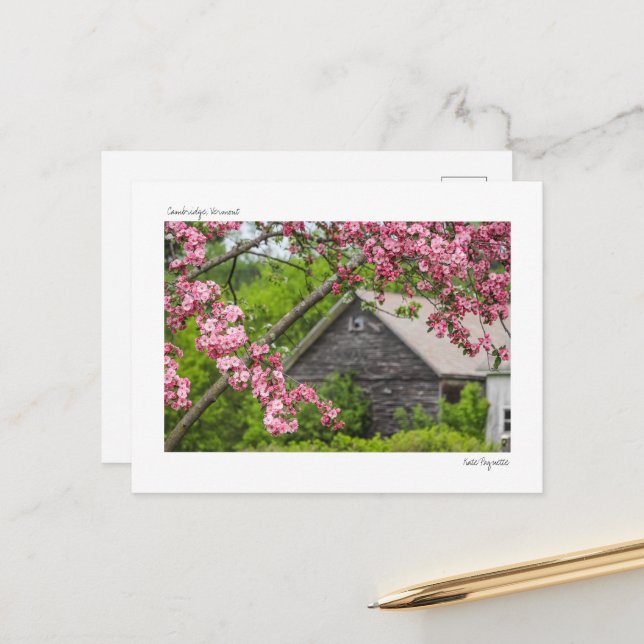 Carte postale Grange et Blossoms (Devant/Arrière en situation)