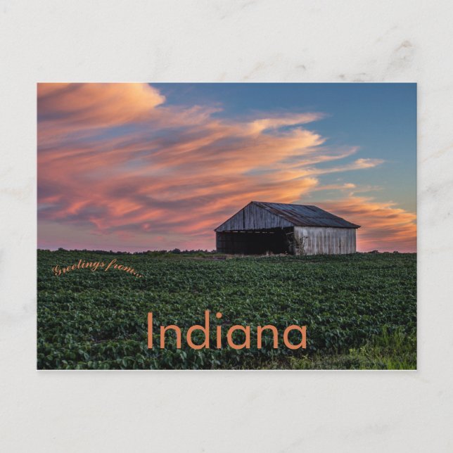 Carte Postale Grange et soja en Indiana au coucher du soleil (Devant)
