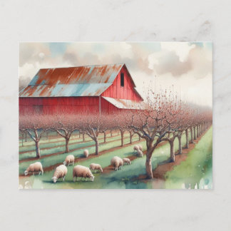 Carte Postale Grange rouge et verger de pistaches