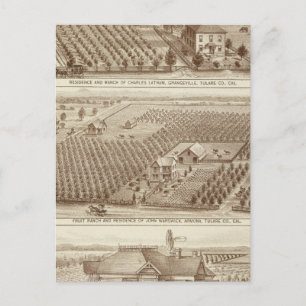 Carte Postale Grangeville, ranchs Armona