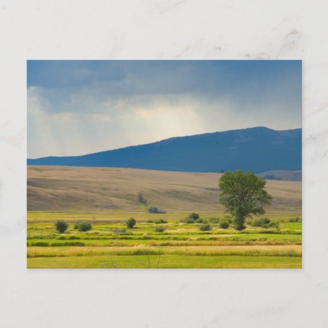Carte Postale Granite County Montana (Devant)