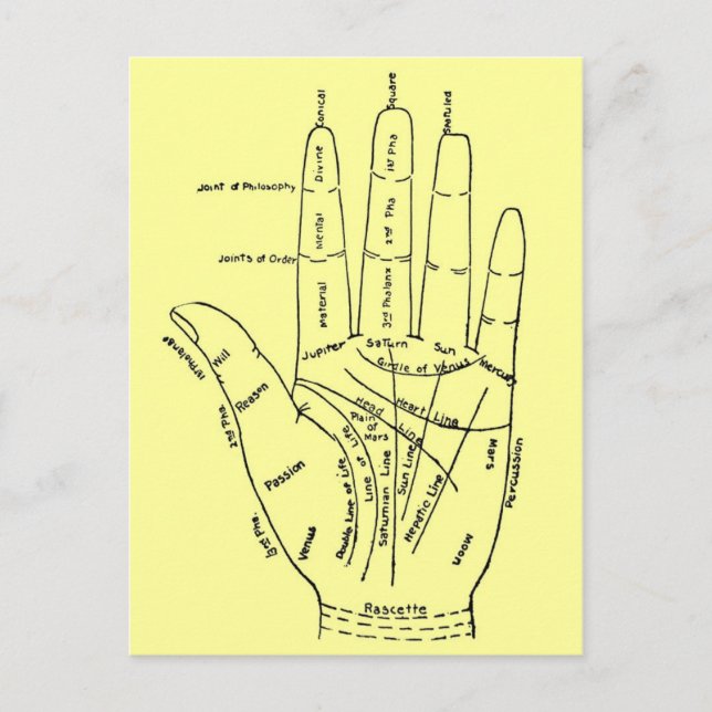 Carte Postale Graphique de la main (Devant)