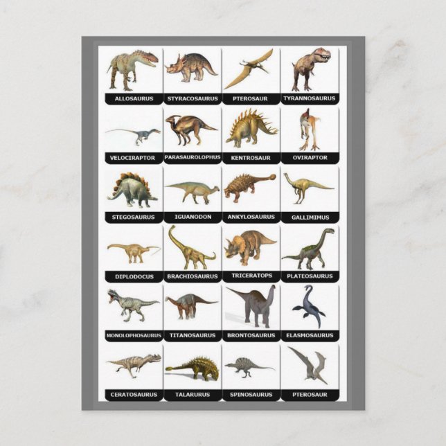 Carte Postale Graphique des dinosaures (Devant)