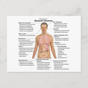Carte Postale Graphique des infections bactériennes chez l'homme