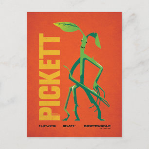 Carte Postale Graphisme Vintage Pickett