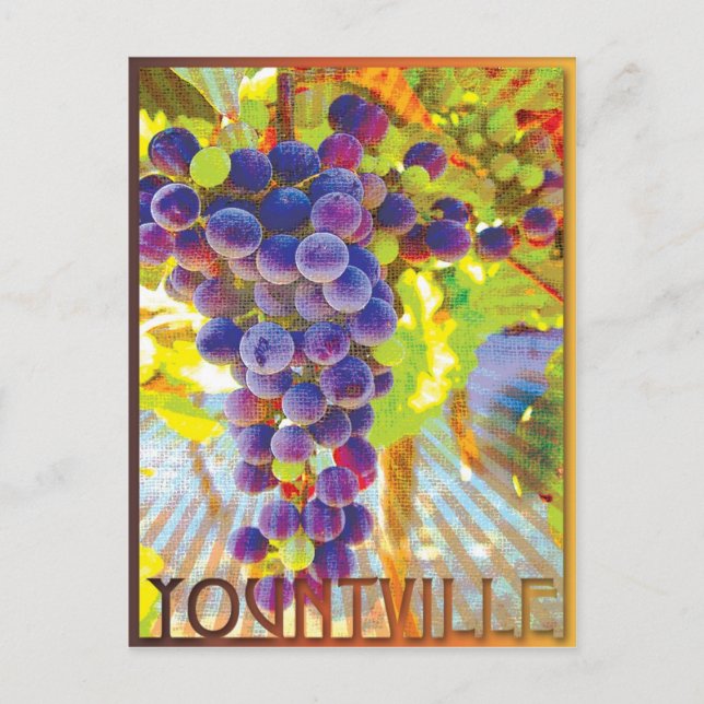 Carte Postale Grappe de raisins de Yountville en Californie (Devant)