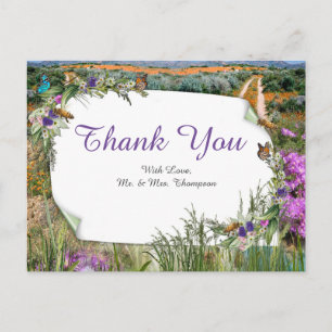 Carte Postale Grasses et fleurs de printemps écologiques sauvage