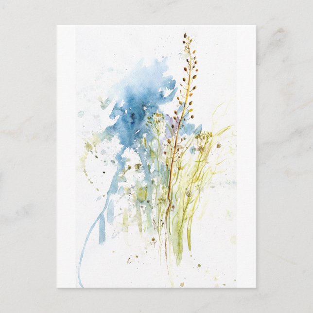 Carte Postale Grasses natives (Devant)