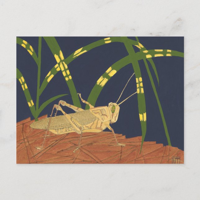 Carte Postale Grasshopper en Grass vert sur Arrière - plan bleu (Devant)