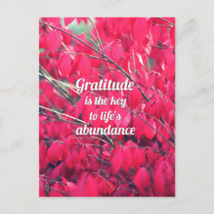Carte Postale Gratitude