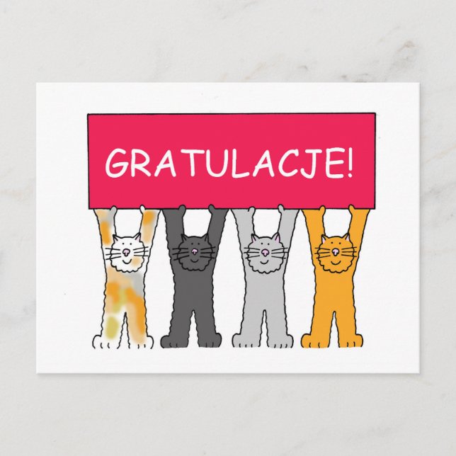 Carte Postale Gratulacje Félicitations en polonais (Devant)