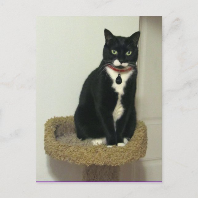 Carte Postale Grave Lucy (Devant)