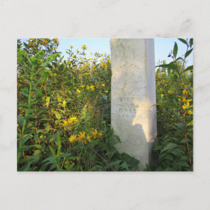 Carte Postale Gravestones des Prairies, Cimetière de Bigelow, Oh
