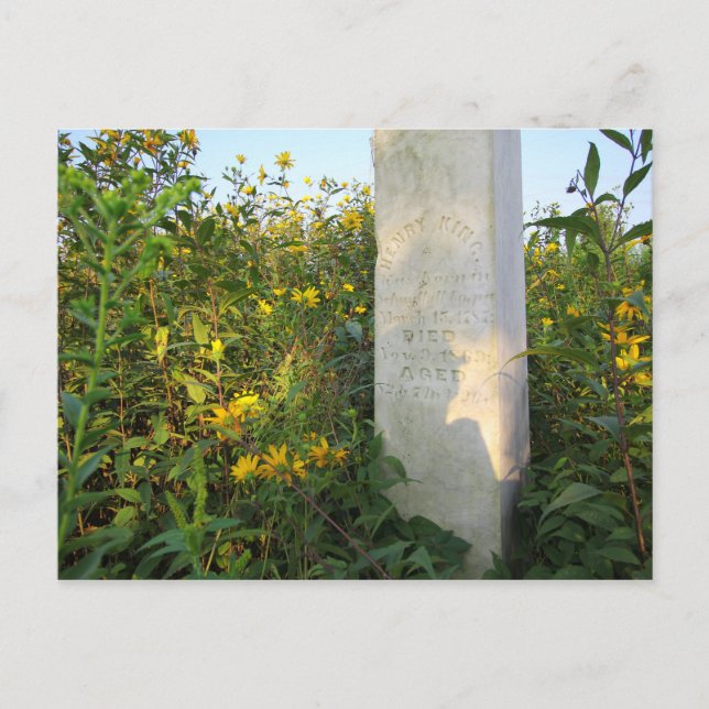 Carte Postale Gravestones des Prairies, Cimetière de Bigelow, Oh (Devant)