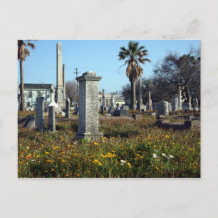 Carte Postale Graveyard de Galveston