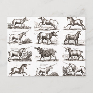 Carte Postale Gravure de licorne antique spécimen de zoologie vi